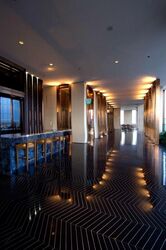 The Ritz-Carlton  (D9), Condominium #496825651